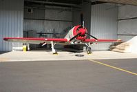 N418JB @ LZU - Yak 52 TW - by David McGirt