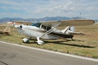 N25LW photo, click to enlarge