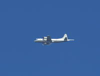 N43RF @ DAB - NOAA WP-3D - by Florida Metal
