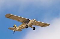 N1991A @ LPC - Cub Fly In Lompoc Calif 2005 - by Mike Madrid