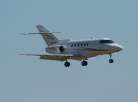 N72FC @ DAB - HS800 - by Florida Metal