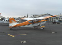 N8741V @ SZP - 1975 Bellanca 7GCBC CITABRIA, Lycoming O-320-A2B 150 Hp - by Doug Robertson
