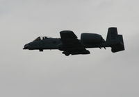 79-0223 @ LAL - A-10 - by Florida Metal