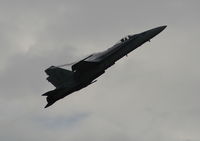 163481 @ LAL - F-18 - by Florida Metal