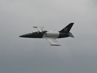 N8124N @ LAL - L-39 - by Florida Metal