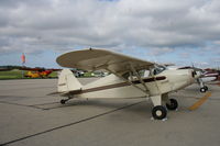 N7622K @ KDKB - Piper PA-20 - by Mark Pasqualino