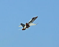 188711 @ CYXX - CF-18 Hornet @ Abbotsford Airshow - by Guy Pambrun