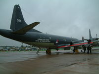 309 @ FFD - Royal International Air Tattoo 2003 - by Steve Staunton
