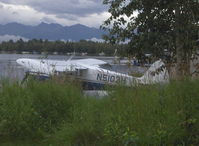 N5103H photo, click to enlarge