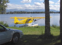 N7174A photo, click to enlarge