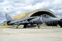 ZD409 @ ETME - This Harrier was on the last ever Open House at Eggebek. - by Joop de Groot