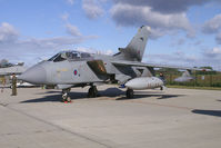ZD790 photo, click to enlarge