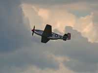 N251MX @ YIP - P-51C Betty Jane - by Florida Metal