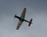 N251MX @ YIP - P-51C Betty Jane - by Florida Metal