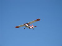 N50380 @ SZP - 1979 Bellanca 7ECA CITABRIA, Lycoming O-235 115 Hp, on final for Rwy 22 in crosswind - by Doug Robertson