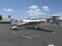 N919EH @ SZP - 1959 Cessna 182C SKYLANE taildragger conversion-rarely seen, Continental O-470-S 230 Hp - by Doug Robertson