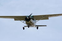 G-BUZN photo, click to enlarge
