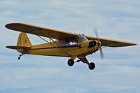 N25WF @ MIC - Piper/wally's Flyers Inc J3C-65, c/n: 5671 - by Timothy Aanerud