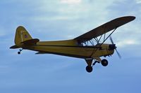 N25WF @ MIC - Piper/wally's Flyers Inc J3C-65, c/n: 5671 - by Timothy Aanerud