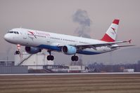 OE-LBD photo, click to enlarge