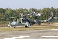7360 @ EBBL - Tiger Meet - by Volker Hilpert
