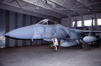 76-0020 @ EGSU - McDonnell Douglas F-15A Eagle.Preserved outside  AAM.In Louisiana ANG colors with AMARC code FH-0074.07-2001. - by Robert Roggeman