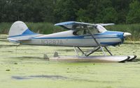 N3287A @ 96WI - Cessna 170B moored at AirVenture 2010. - by Kreg Anderson