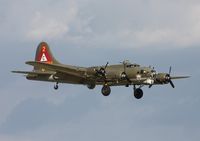 N900RW @ YIP - Thunderbird - by Florida Metal