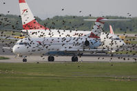 OE-LVI @ LOWW - Austrian Arrows F100 - by Andy Graf-VAP