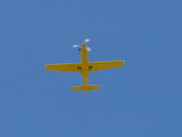 N724RX @ SZP - 2006 Snead SPECIAL TURBINE LEGEND, Walter M601-D 724 shp Turbine, high speed pass - by Doug Robertson