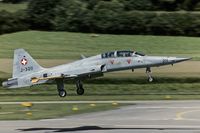 J-3211 @ LSMP - moments prior touchdown - by Friedrich Becker