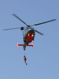 81 - Eurocopter AS-365N-2 Dauphin 2
France - Navy - by Jean Goubet/FRENCHSKY