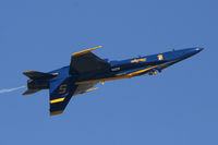 163768 @ AFW - At the 2010 Alliance Airshow - Fort Worth, TX - by Zane Adams