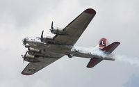 N3193G @ PTK - Yankee Lady - by Florida Metal