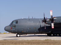 130334 photo, click to enlarge