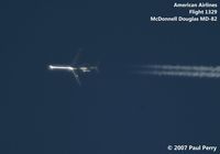 UNKNOWN @ NONE - Shiny American bird catching the sun - by Paul Perry