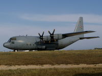 403 @ LMML - C130 Hercules 403 South African Air Force - by raymond