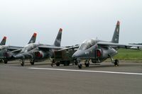 AT17 @ EBBE - European Trainers Meet 2005.AT-18. - by Robert Roggeman