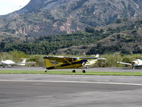 N619VM @ SZP - 1981 Cessna A185F SKYWAGON II, Continental IO-550-N 300 Hp, STOL landing Rwy 22L grass - by Doug Robertson