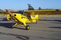 N10593 @ KLPC - Lompoc Piper Cub Fly-in 2006 - by Nick Taylor