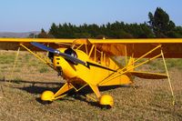 N77524 @ KLPC - Lompoc Piper Cub Fly-in 2006 - by Nick Taylor