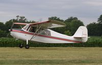 N62976 @ 7V3 - Bellanca 7ACA - by Mark Pasqualino