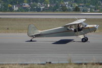 N4988M @ BIL - Beautiful old Piper Cub slightly out of focus.  argg - by Daniel Ihde