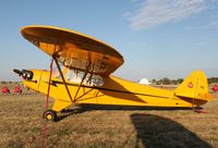 N3380N @ KOSH - Piper J3C-65 - by Mark Pasqualino