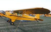 N92251 @ KOSH - Piper J3C-65 - by Mark Pasqualino