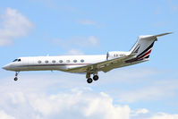 CS-DKG photo, click to enlarge