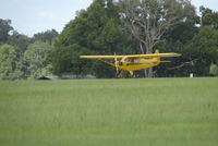 N6595H @ KGIF - Wheel landing at KGIF - by dms65aaf