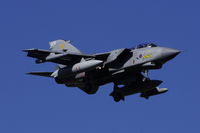 ZA395 @ LMML - Tornado GR4 ZA395/009 of 31Sqd RAF on its landing to participate in the Malta Airshow 2012. - by Raymond Zammit
