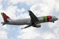 CS-TNI photo, click to enlarge