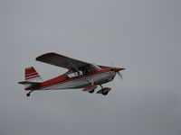 N50380 @ SZP - 1979 Bellanca 7ECA CITABRIA, Lycoming O-235 115 Hp, takeoff climb Rwy 04 - by Doug Robertson